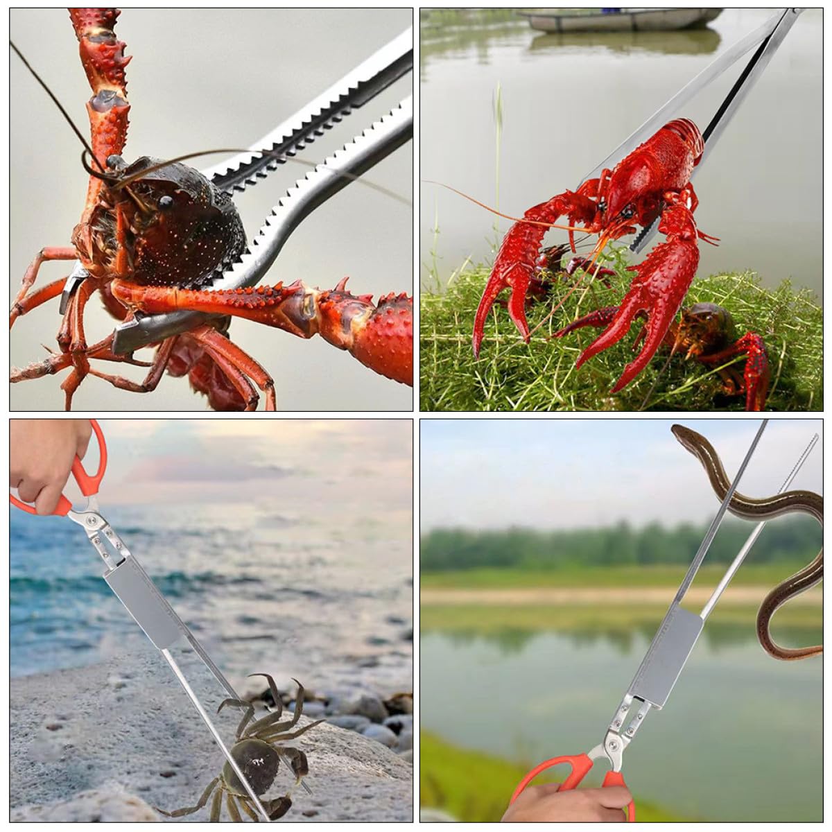 HANABASS Pinza per Granchi Multifunzione in Acciaio Inox Resistente Morsetto Antiscivolo, Tenaglia per Aragosta e Anguille, Strumento Leggero per Pesca e Raccolta in Esterno