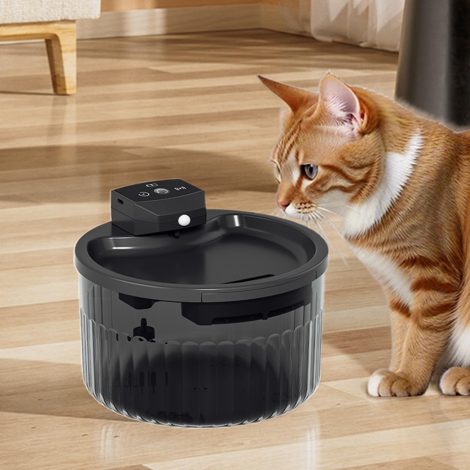 Fontana d'acqua per gatti, wireless, 2 l, abbeveratoio silenzioso per gatti