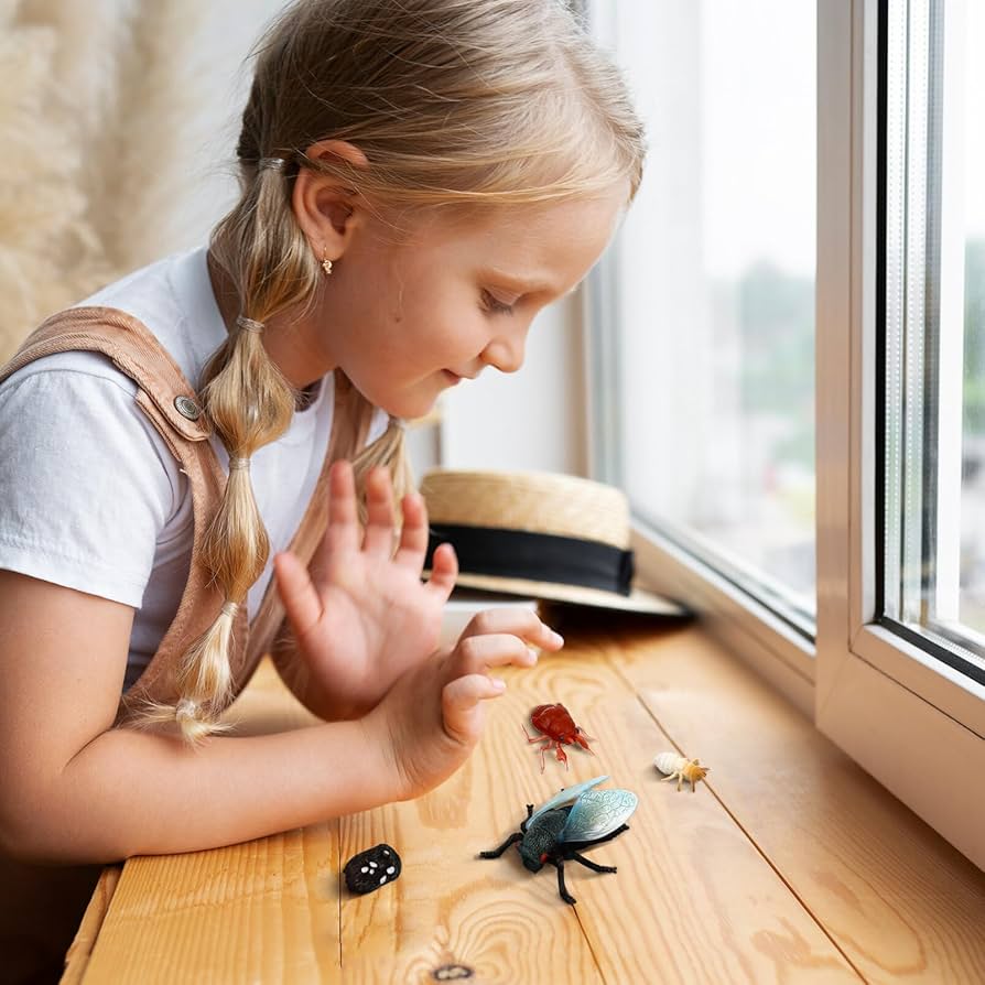 Amazon.co.jp: SUPVOX 1セット蝉の成長周期 フィギュア 模型