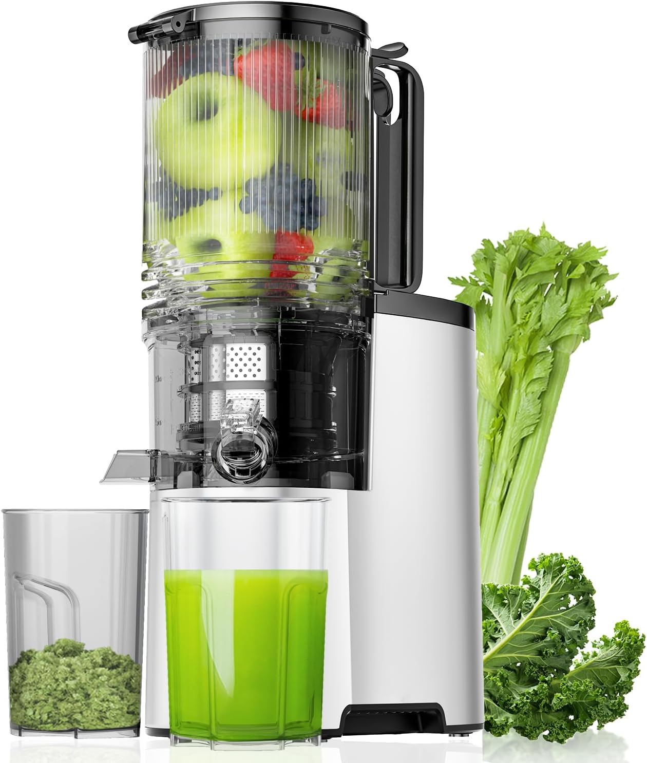 Cold Press Juicer