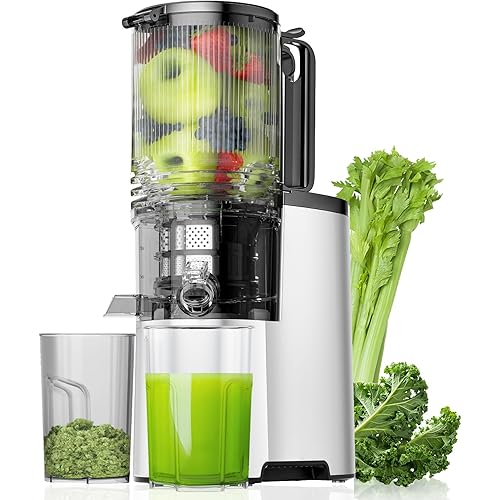 Cold Press Juicer, 5.3" Wide Feed Chute Juice Extractor Machine with 400W, High Juice Yield, Slow Masticating Juicer for Whole Vegetables & Fruits, Metallic Silver