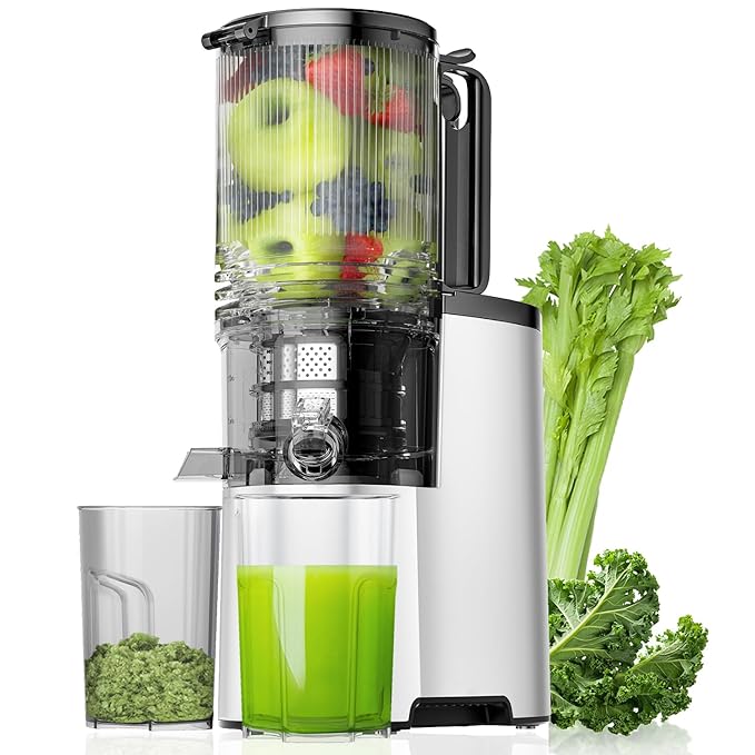 EanOruus Cold Press Juicer