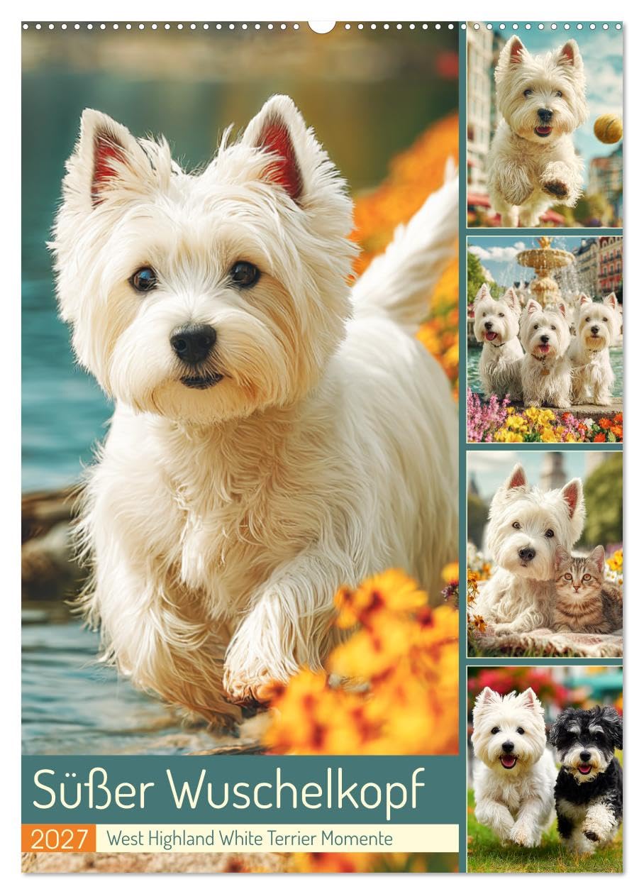 Süßer Wuschelkopf. West Highland White Terrier Momente (Wandkalender 2027 DIN A2 hoch), CALVENDO Monatskalender: Die fröhlichen, mutigen und charmanten Westies in zauberhaften Bildern (CALVENDO Tiere)