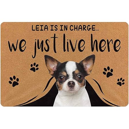 personalized dog welcome mat