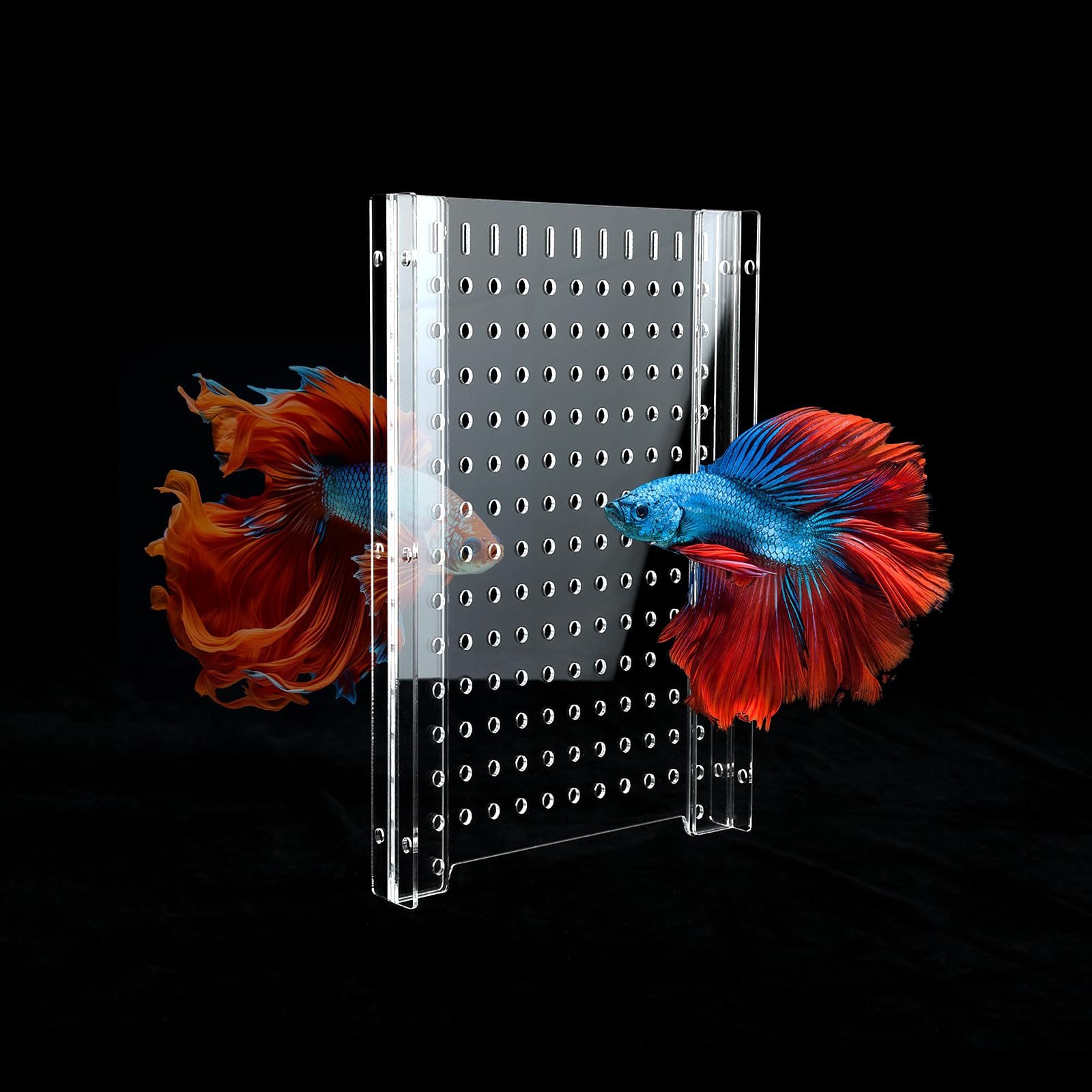 Séparateur d'aquarium en acrylique transparent avec ventouses (5,6 l)
