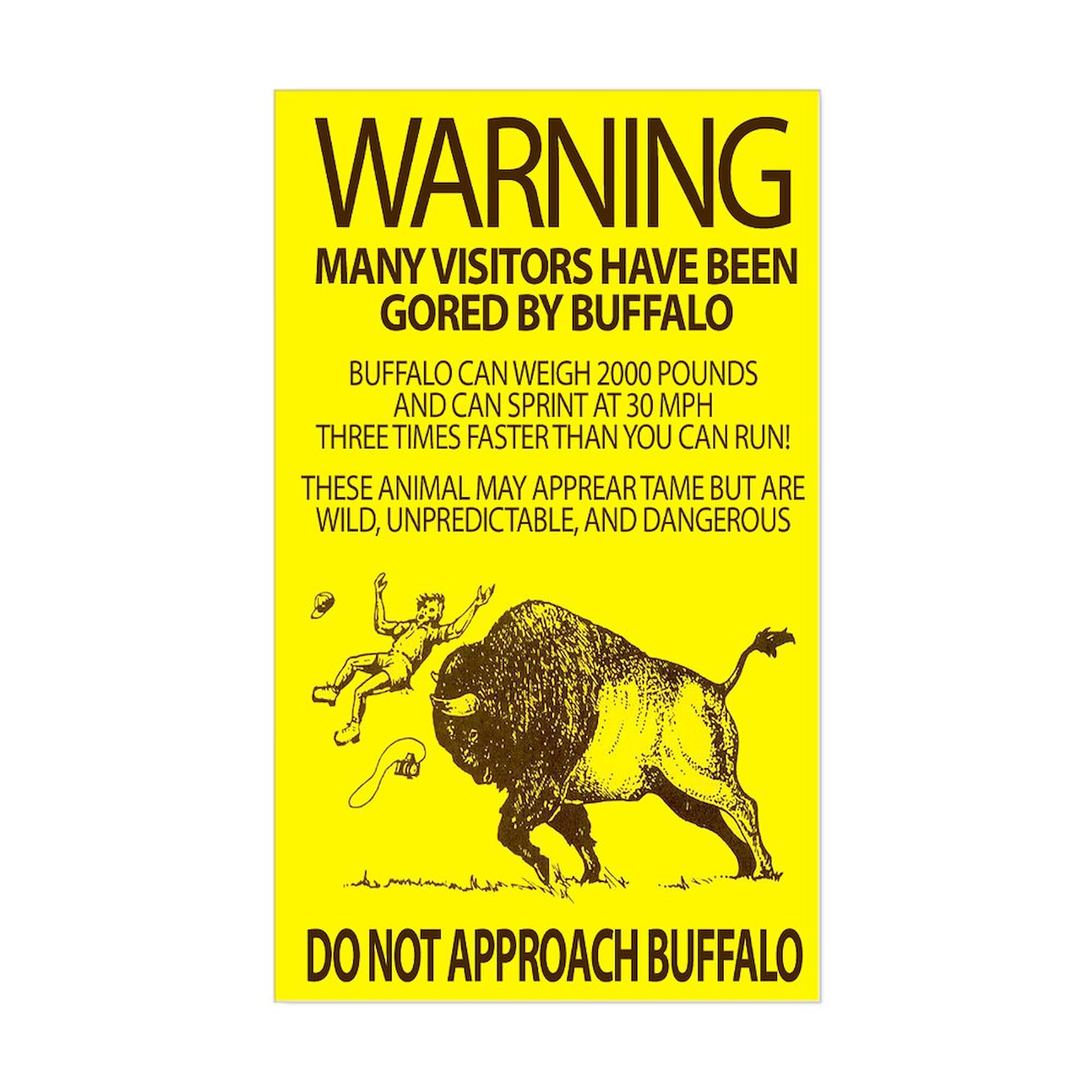 CafePress Warning: Buffalo Rectangle Sticker Rectangle Bumper Sticker Car Decal