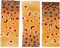 HilBeliFU 3Pcs Fishing Finger Guards - Elastic Polyester Sleeves Protectors for Sea Rod, Finger Guards Set