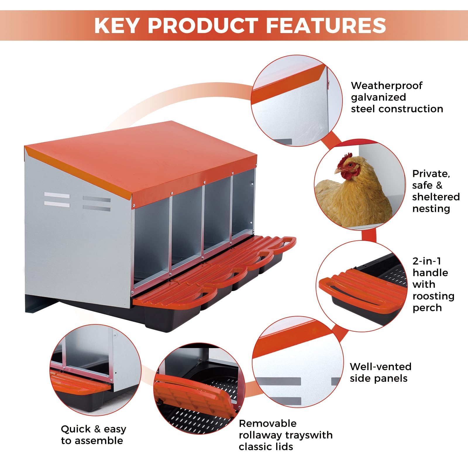 Garvee Nido para gallinas ponedoras con 4 Compartimentos de Acero galvanizado, Nido para Pollos con Sistema de Recogida de Huevos Anti-Rotura y bandejas extraíbles, fácil de Limpiar, Naranja