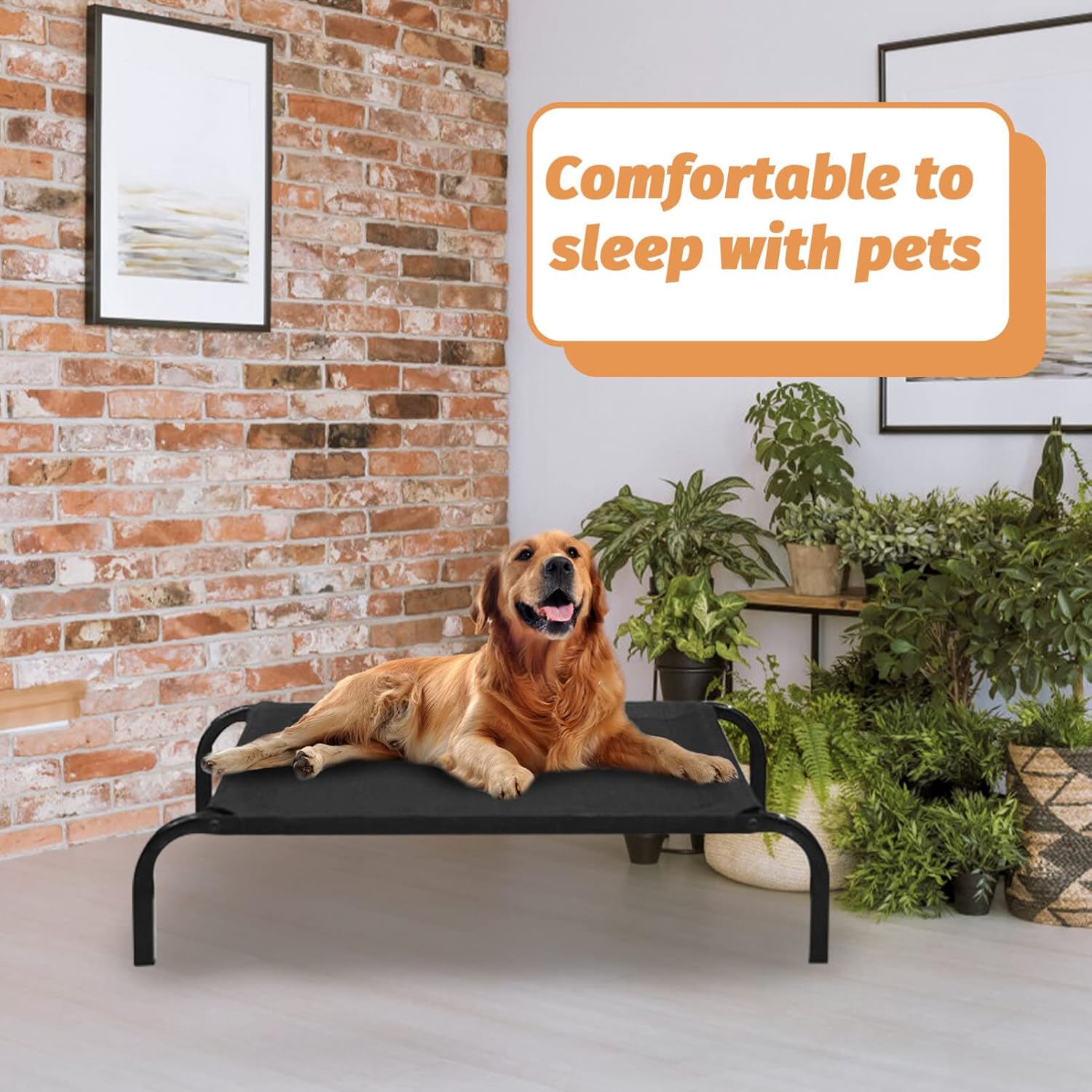 review Christmas Thermal High Pets Mesh Detachable Bed and Replacement Cot Puppy Self- Sleeping Wear-Resist Dog Small Elevated Mat Footed Comfortable Outdoor Puppies Cover Blanket