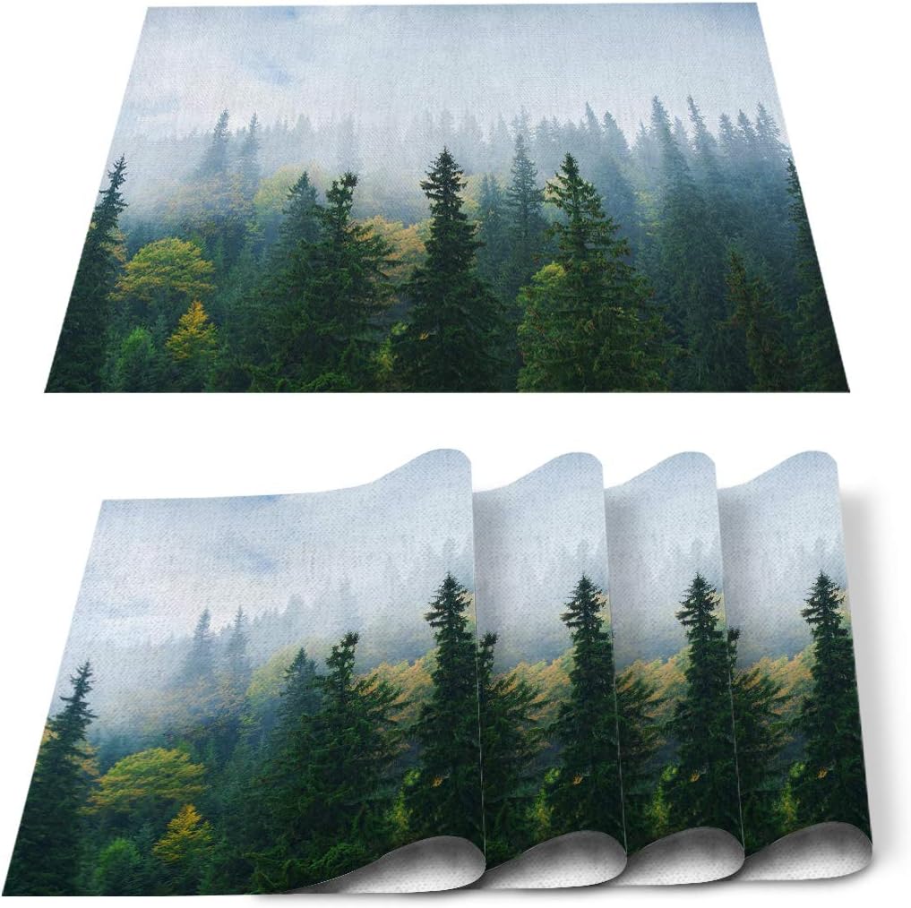 Comfort Her Zon Placemats 12x18 Inches, Autumn Carpathian Mountains Forest Misty Landscape Placemats for Dining Table Heat Resistant Place Mats Washable Kitchen Table Mats, Set of 4