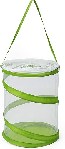 RESTCLOUD Jaula de hábitat para insectos y mariposas, terrario de malla transparente, transparente más fácil, 9 x 11 pulgadas de alto