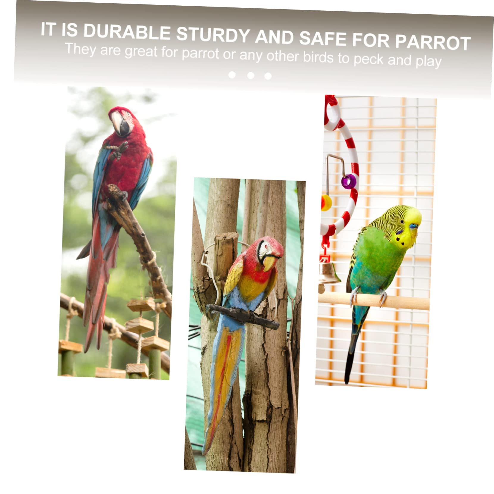 YARNOW 4 Pièces Jouet à mâcher Perroquet créativité Jouets Morsure de Perroquet Accessoires de Cage à Oiseaux de supplément de Perroquet résistant à l'usure écureuil