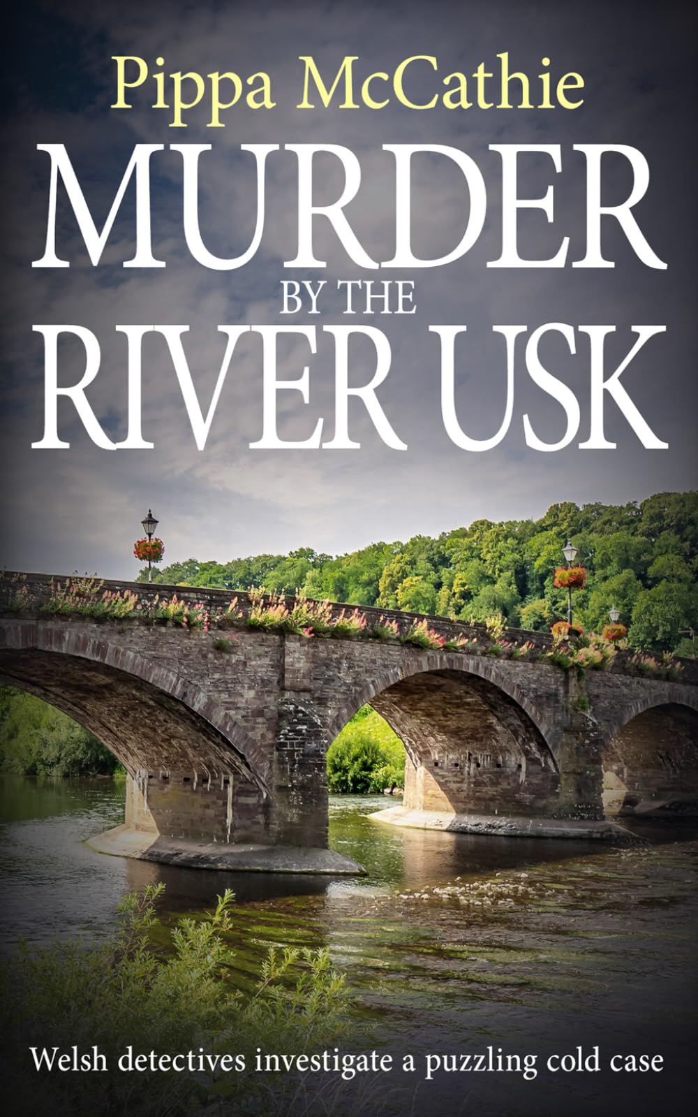 MURDER BY THE RIVER USK: Welsh detectives investigate a puzzling cold case (The Havard and Lambert mysteries)