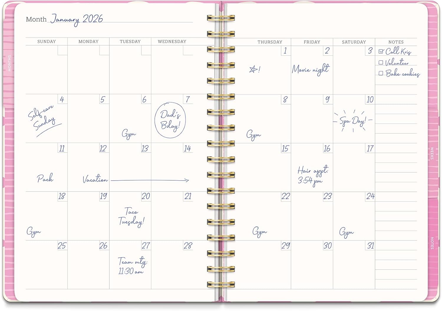 Orange Circle Studio Undated Tri-Tab Planner, Garden Renaissance, Daily Notebook Journal, Cute Weekly and Monthly Calendar with Pocket, Stickers, Lined Pages for To Do lists and Planning (Darling Dots)