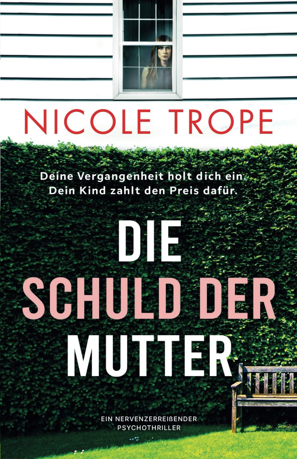Die Schuld der Mutter: Ein nervenzerreißender Psychothriller