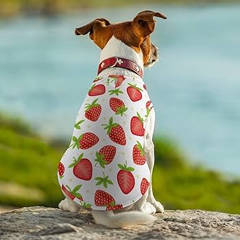 Amazon.co.jp: いちご柄 苺柄 イチゴ柄 ペット服 犬服 春夏秋 T