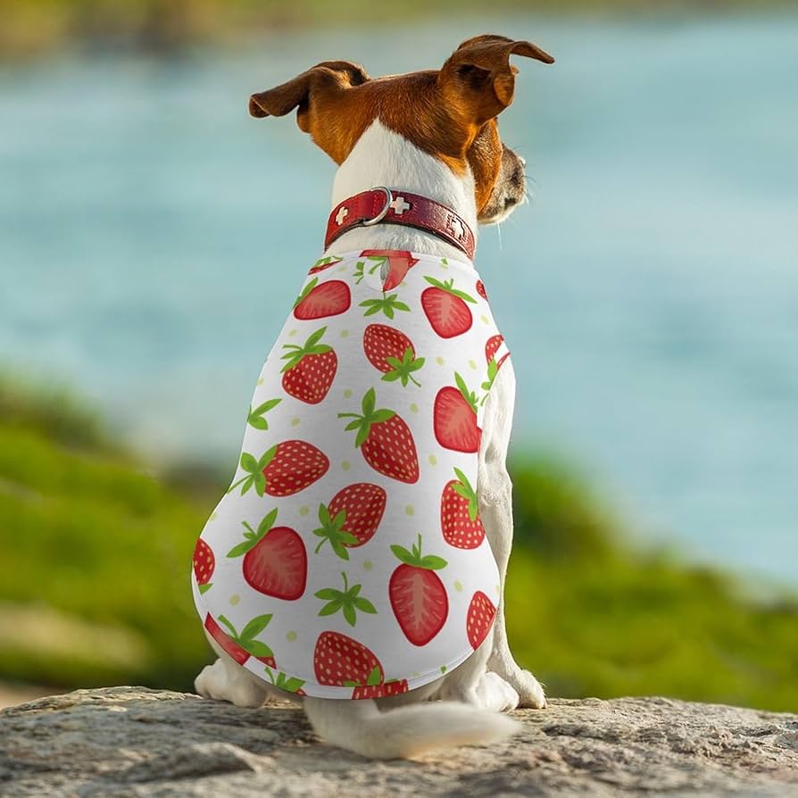 いちごちゃんさま専用☺︎わんこふく　犬服 71E4-PDWdGL._UF894,1000_QL80_.jpg
