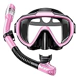 Seovediary Snorkel Set Adults Snorkeling Gear Anti-Fog Panoramic View Swim Mask Dry Top Snorkel Kit with Carry Bag for Snorkeling Scuba Diving Swimming Travel