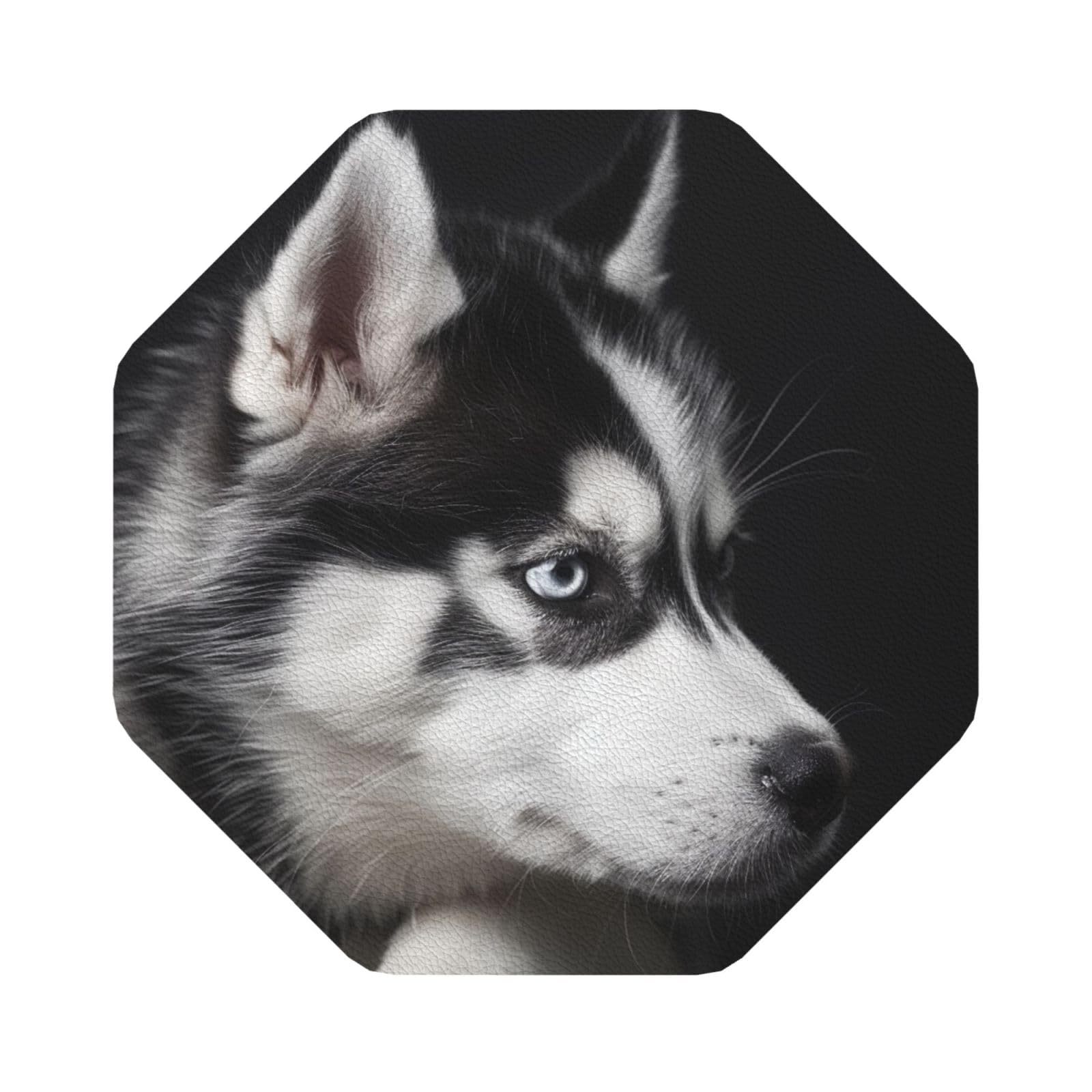 Husky Dog Print Leather Coaster Set of 6, Octagon Coasters Table Decorative Coffee Cup Beverage Coasters Wine Beer Bar Coasters for Hot Drinks Table Protection