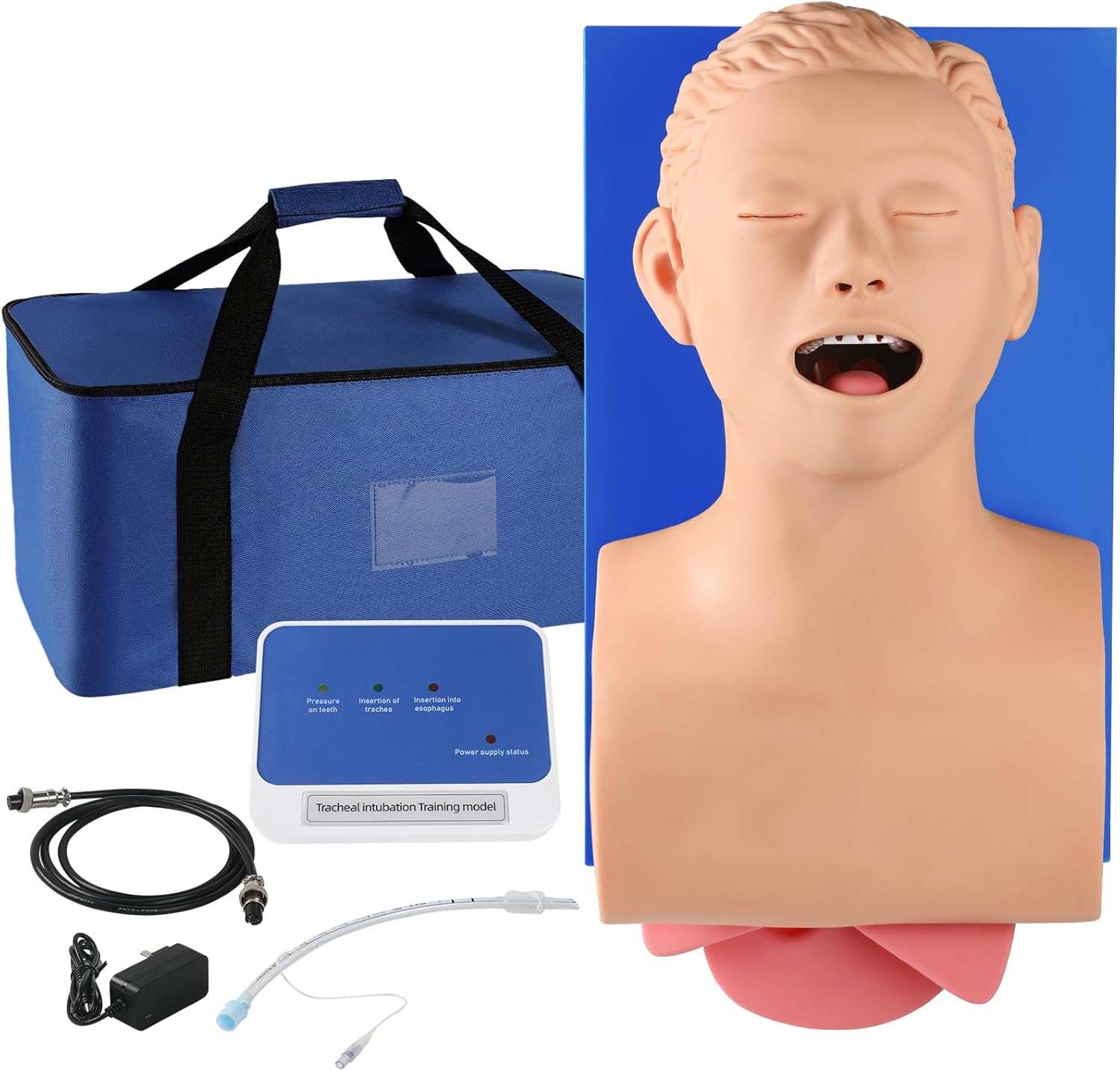 High-Fidelity Tracheal Intubation Training Model for Asphyxia Resuscitation - Professional Anatomical Simulation Tool for Medical Education & Emergency Training