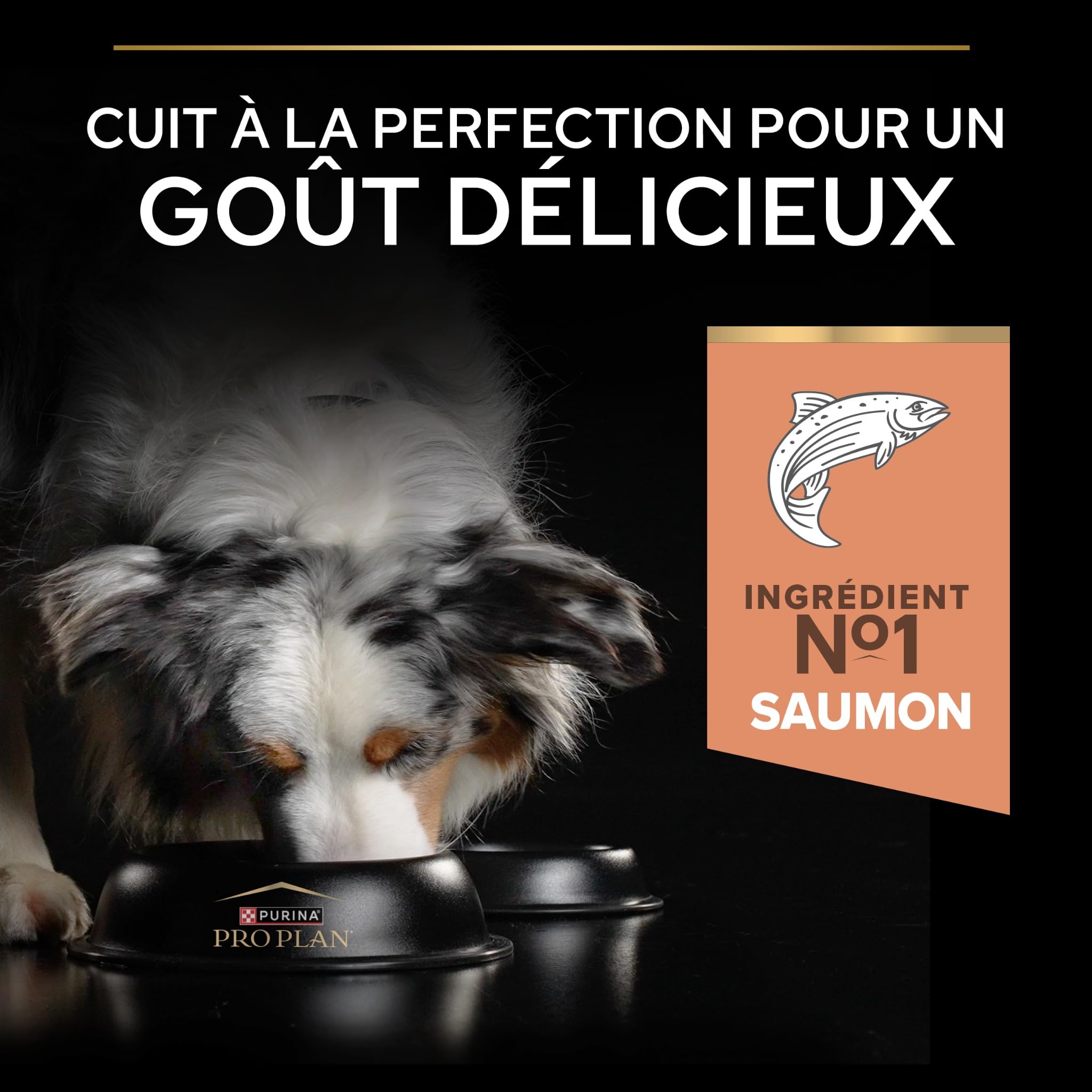 Purina Pro Plan - Sensitive Skin - Croquettes Chien Moyen Saumon - 16 kg | Croquettes Chien Moyen Peau Sensible Saveur Saumon - Pelage brillant et soutien digestif sans blé - Santé Chien