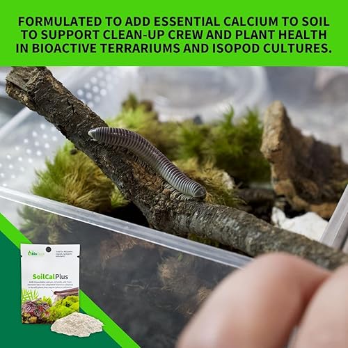 Miniatura 2 de The Bio Dude Soil Cal Plus - Aditivo de calcio de sustrato bioactivo. Ideal para isópodos, milpiés y plantas