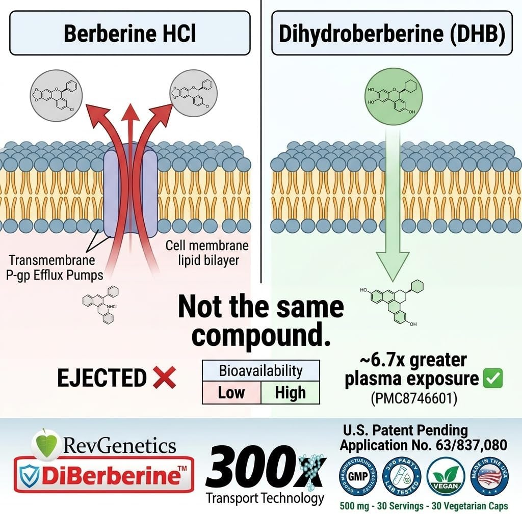 REVGENETICS DiBerberine™ Proprietary Blend 500mg Supplement Enteric Coated | DHB Berberine Weight Support | AMPK Activation | 30 Capsules | DiBerberine 300x