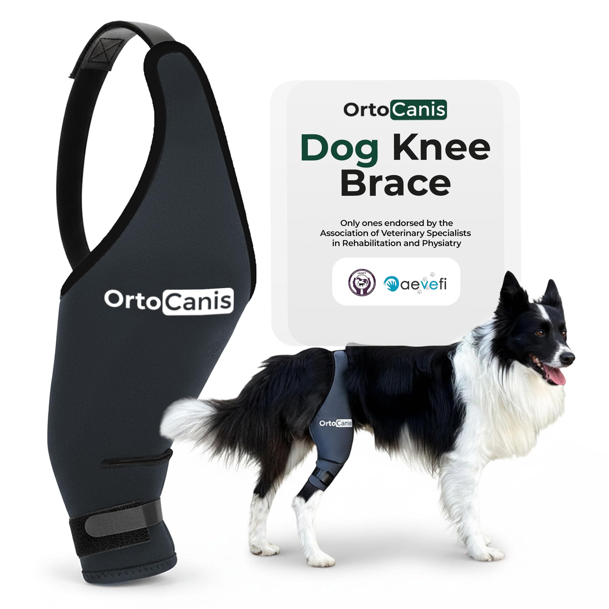Ortocanis Dog Knee Brace for Hind Leg Support – Flexible Neoprene Knee Brace for Dogs with Joint Instability, Torn ACL, Limping or Osteoarthritis – Comfortable Support for Recovery (X-Mini, Left Leg)