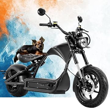 eAhora Electric Motorcycle 4000w/3000w eAhora M1P Series, 50mph/45mph Electric Motorcycle for Adults, 40ah/30ah Battery, Up to 40-55Miles with Dual Suspension Hydyaulic Brakes