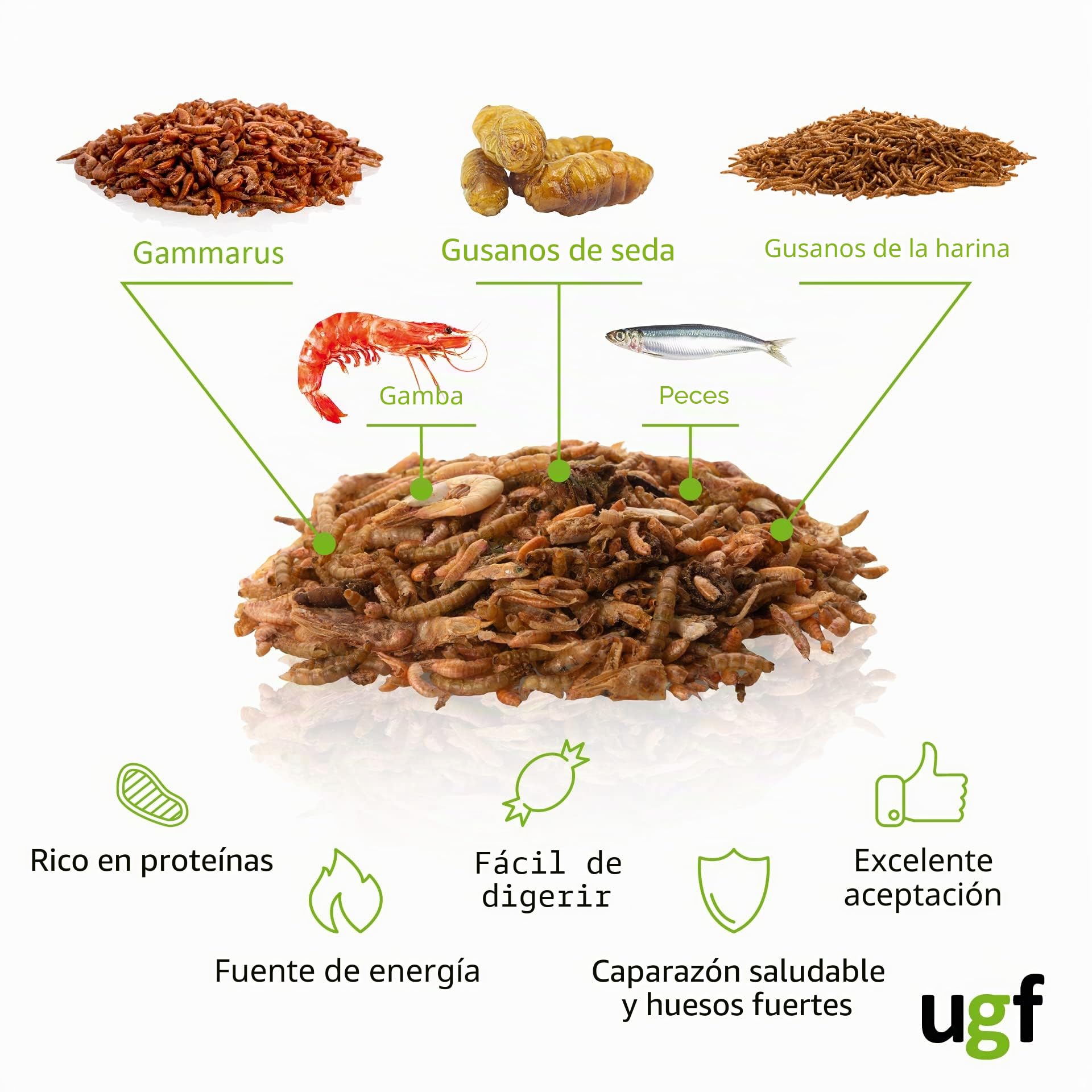 UGF - Mezcla Universal de alimento para Tortugas - 500 g en un Cubo de 3 litros, alimento equilibrado para Tortugas, gammarus, Gusanos de Seda, Gusanos de la harina, camarones y Pescado seco