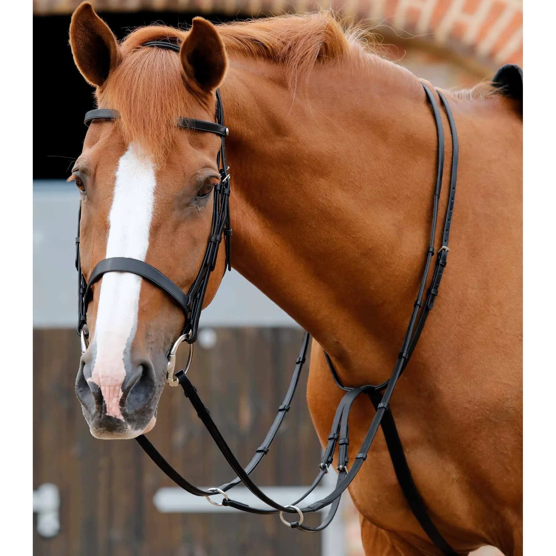 Premier Equine Martingala da Corsa Regolabile Santadi