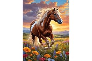 Perycomly - Adult Paint By Numbers Kit For Relaxation