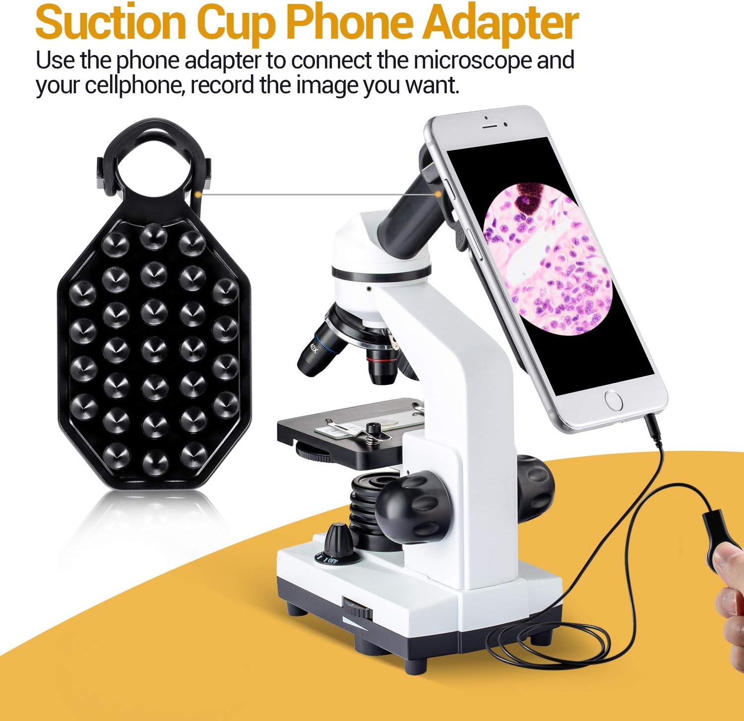 🔥 Cashback up to 70% BNISE Microscope for Adults and Kids, 100X-1000X Magnification Lab Compound Monocular Microscopes with Illumination Dual LED, Biological Microscope with Microscope Accessories Set for Beginners