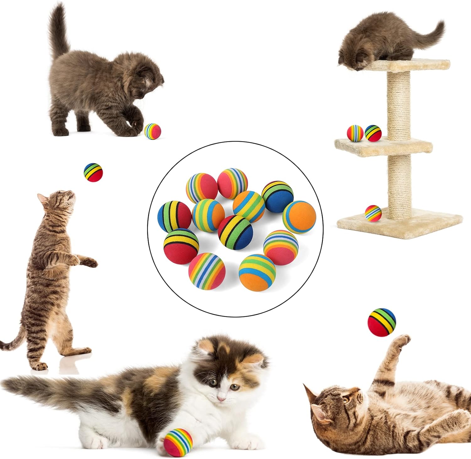 Cobee Rainbow Cat Toy, 12 Pieces Large 3.5 CM Interactive Ball for Kitten Play Sports Chase Training 7 71E4RjI +zL. AC SL1500