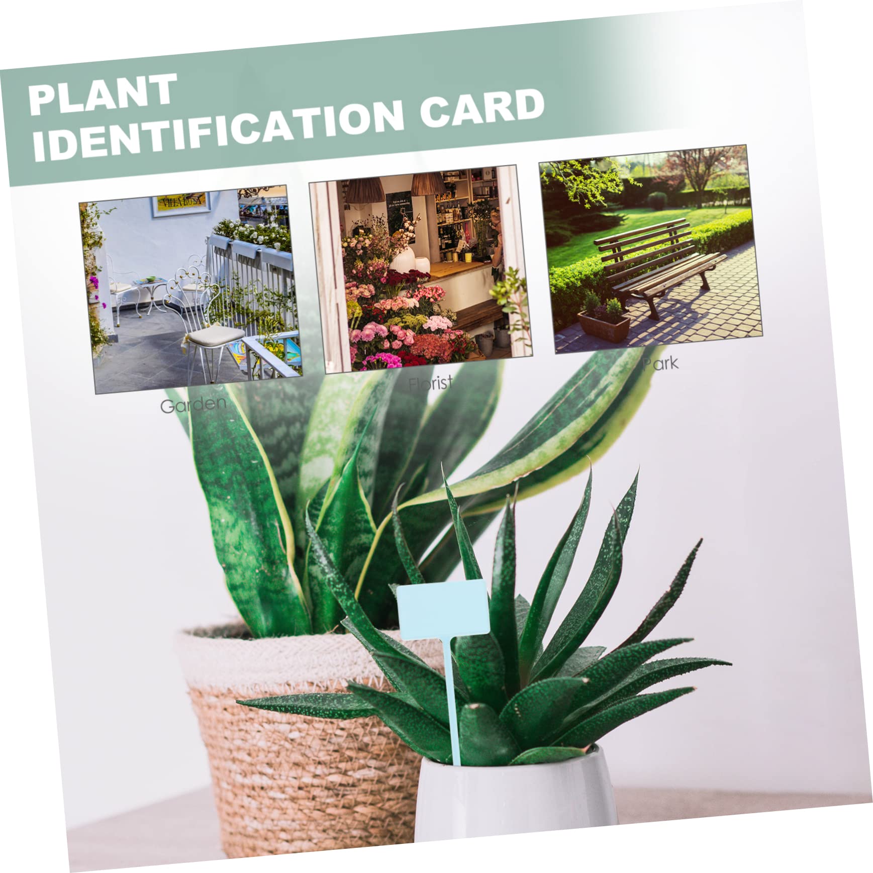 ibasenice 5 Ensembles Étiquettes De Jardin Plastique Pour Plantes Lot De Marqueurs Carrés Insérés Étiquettes Pour Couleurs Mélangées Pour Identifier Plantes Intérieur Extérieur Pièces * 5
