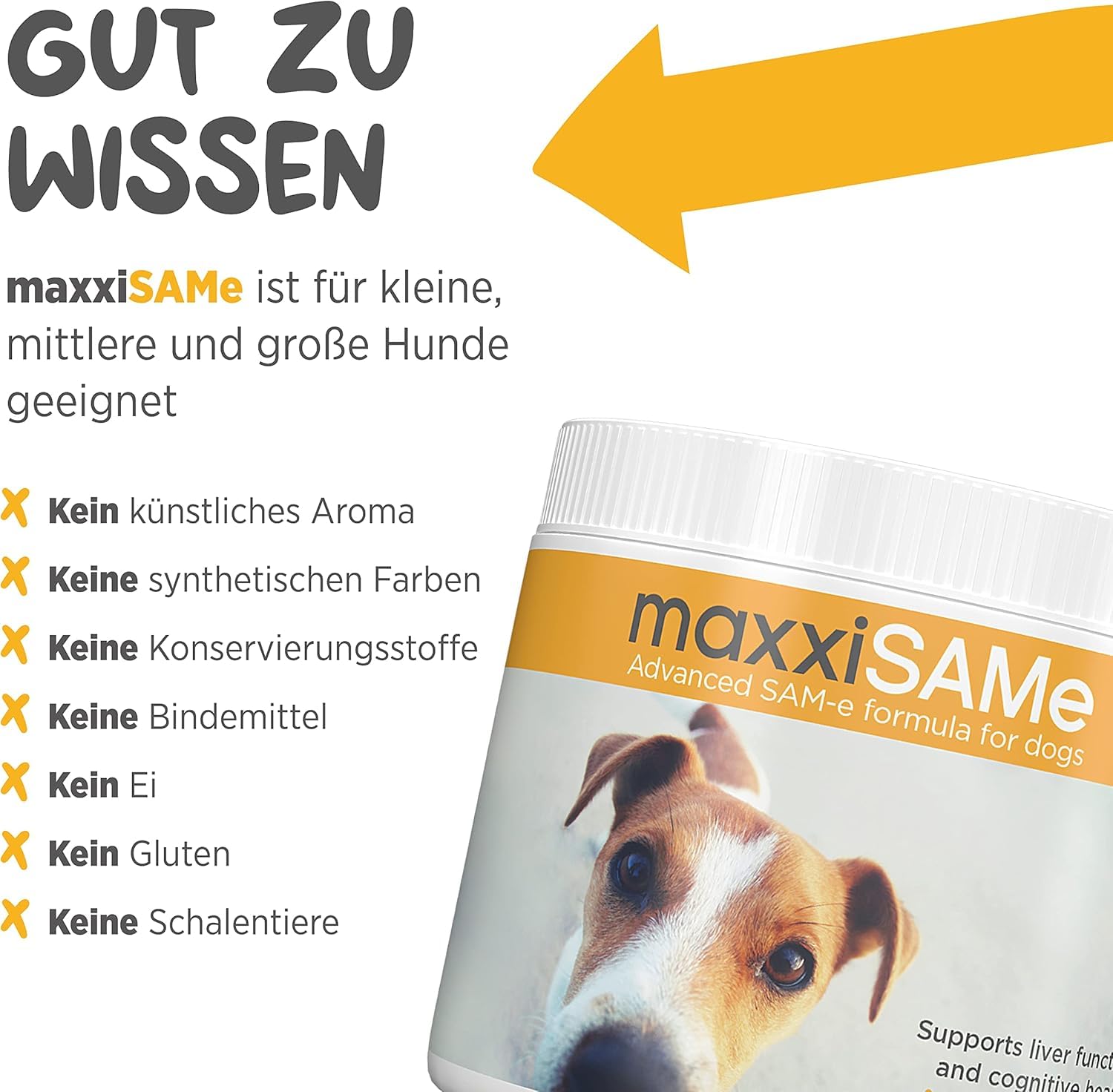 maxxipaws maxxiSAMe Fortschrittliches SAM-e Pulver zur Unterstützung von Leber, Gehirn und Gelenken für Hunde, 150g