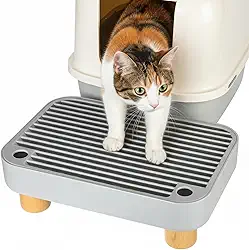 Caixa de areia para gatos com base de madeira antirastreamento e fácil de limpar à prova d'água para gatinhos e gatos idosos