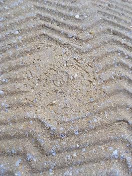 Amazon.co.jp: 益子焼 坂田甚内 灰釉縞手皿 径26cm ホビー