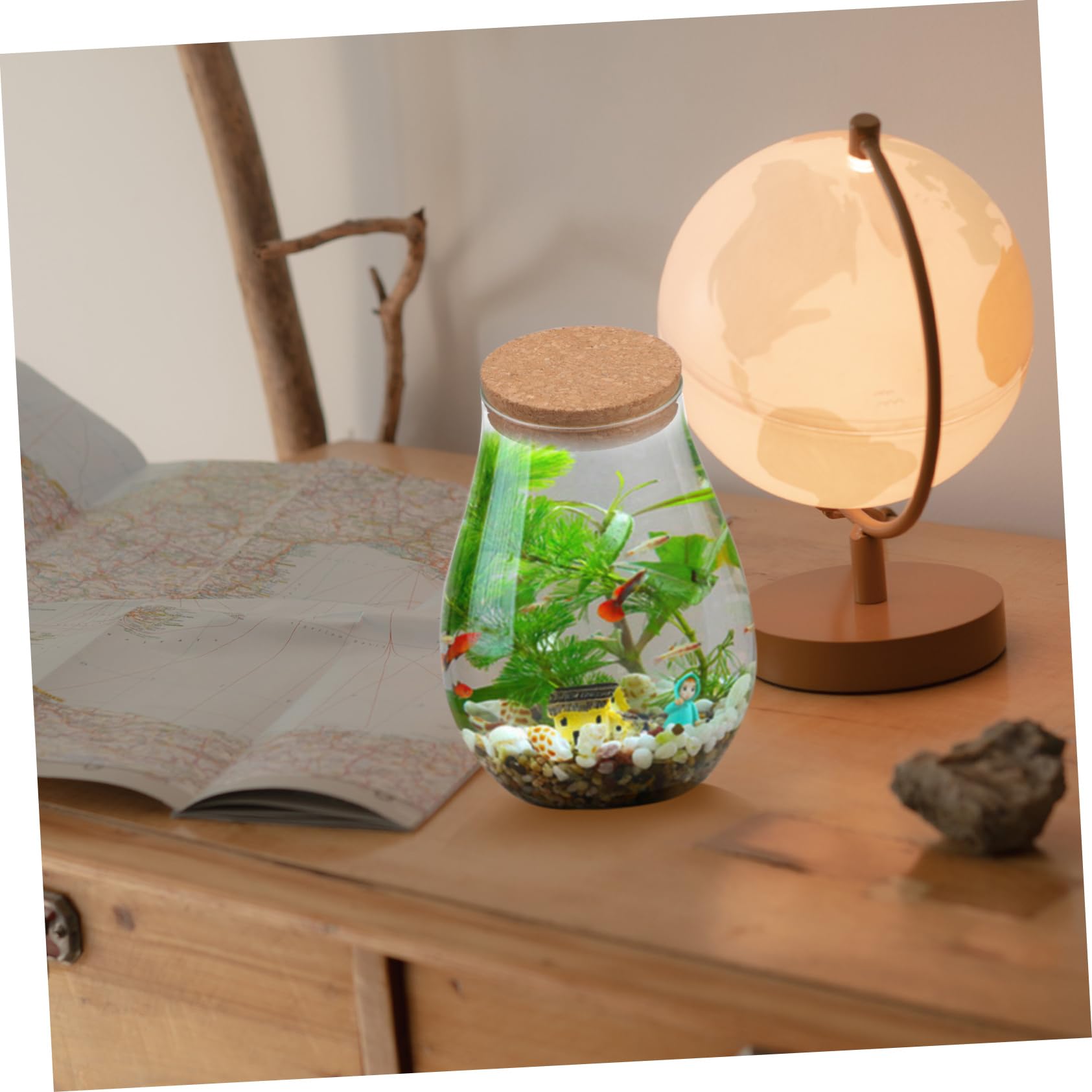 Terrario in Vetro e Legno per Piante e Muschio, Decorativo