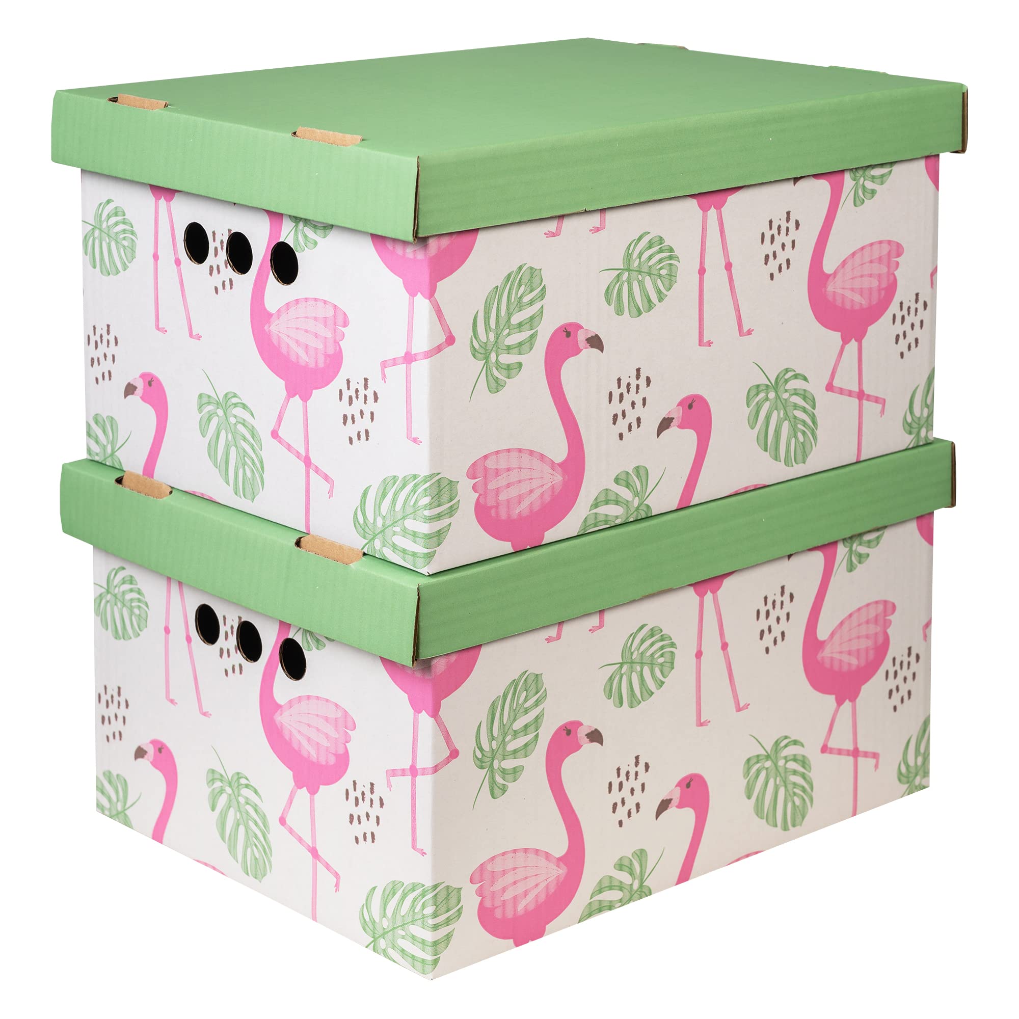 Cardboard Storage Boxes with Lid, Decorative Wardrobe, Closet, Home & Office Organiser with Handle, Flat-Packed, Stackable File Box, Gift for Adults & Kids, Set of 2, Large - Flamingos and leaves — image 1