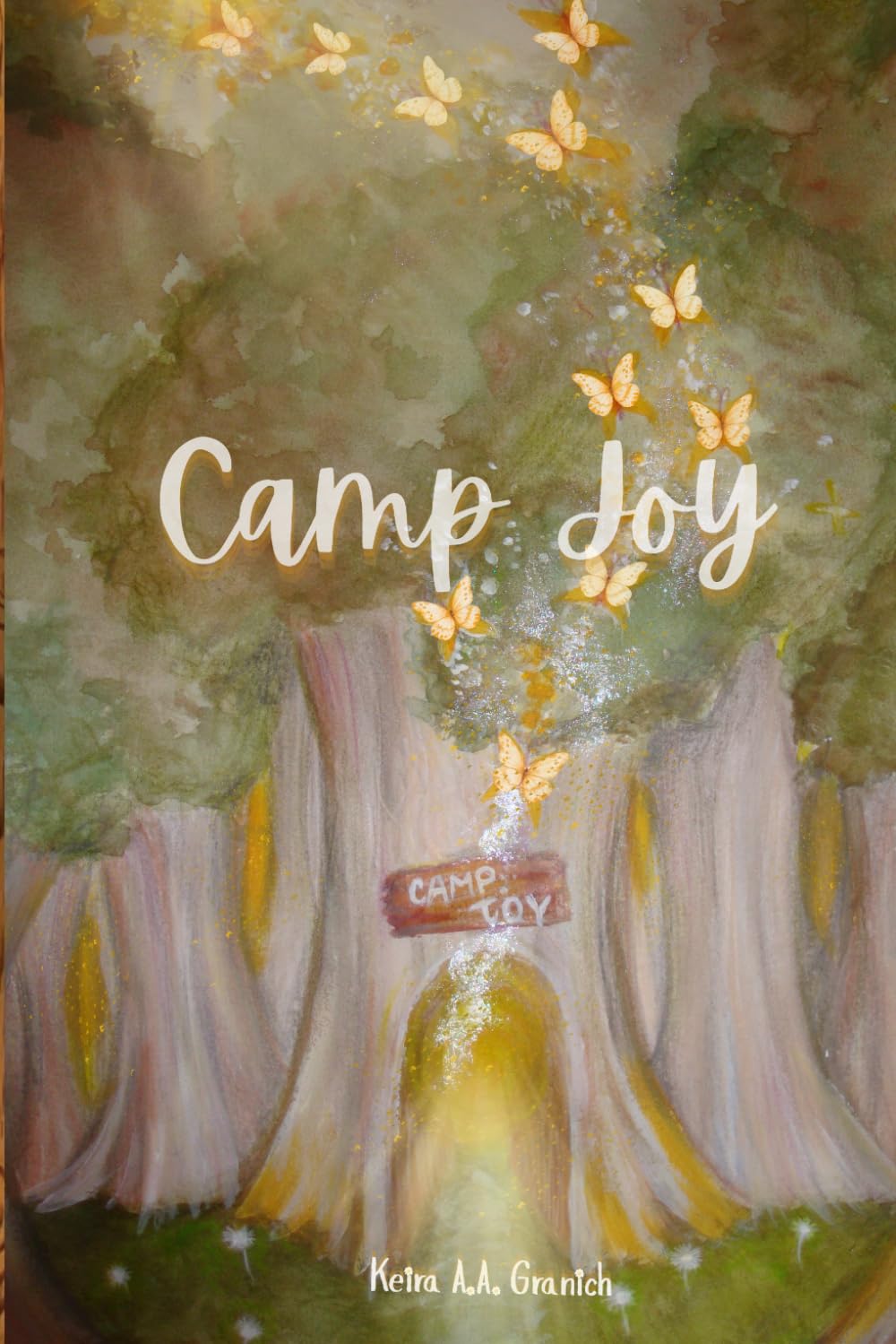 Camp Joy: (Australian Teen Summer Camp Mystery)