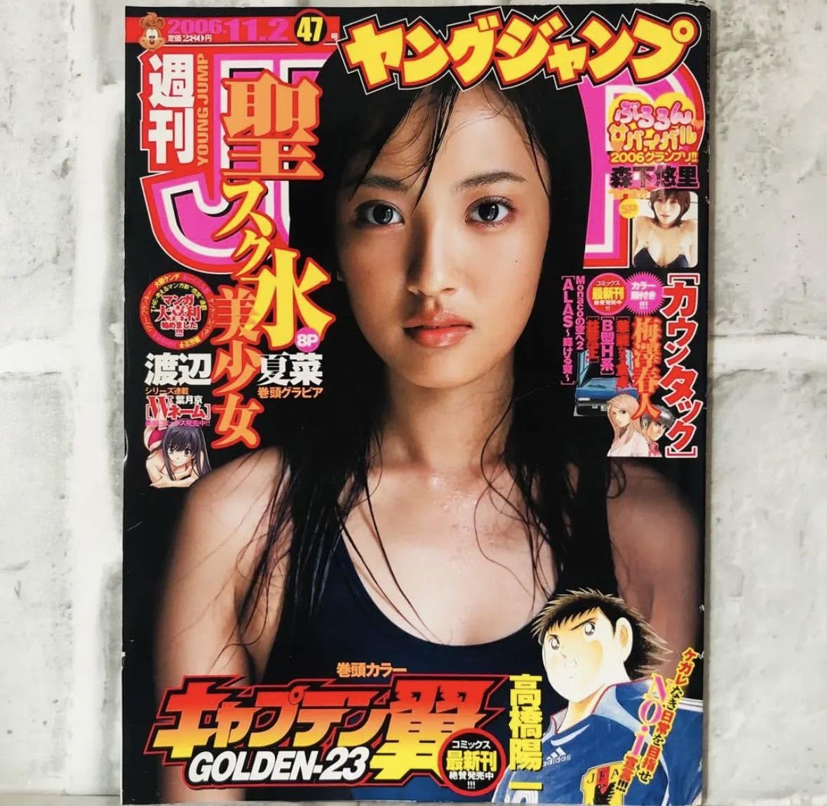 ヤングジャンプ2006年度表紙及びグラビアページ - アイドル
