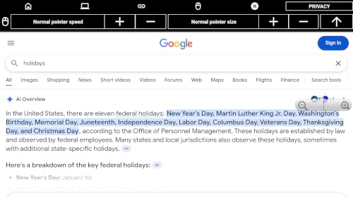 Fast Internet Searchengine – BrowserBridge – vue 3