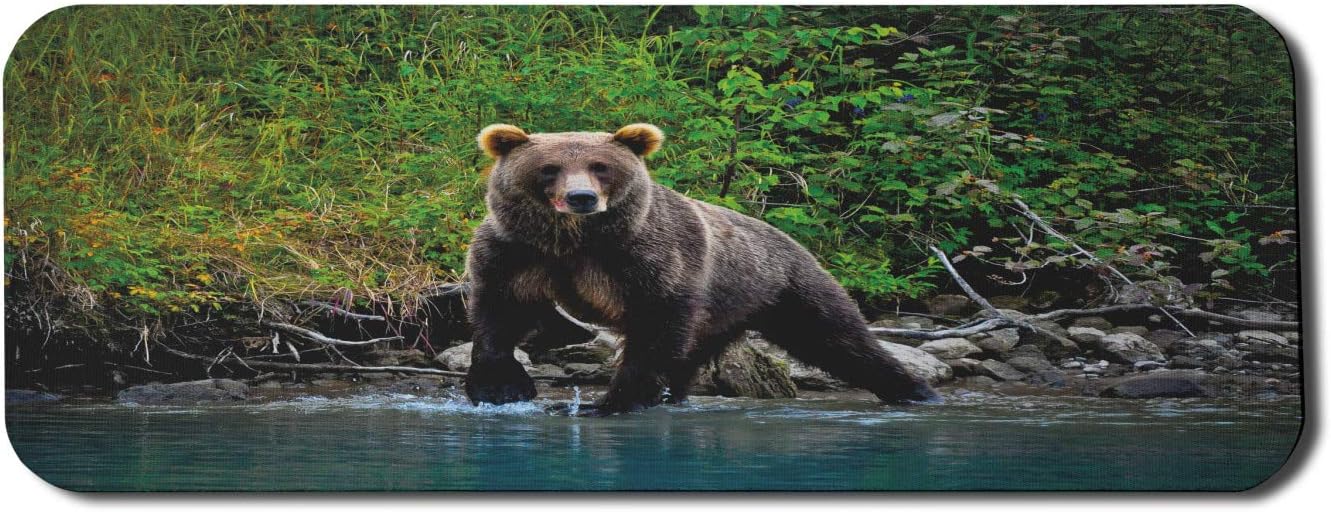 Lunarable Cabin Computer Mouse Pad, Grizzly Brown Bear in Lake Alaska Untouched Forest Jungle Wildlife Image, Rectangle Non-Slip Rubber Mousepad Large, 31 x 12 Gaming Size, Green Brown and Blue