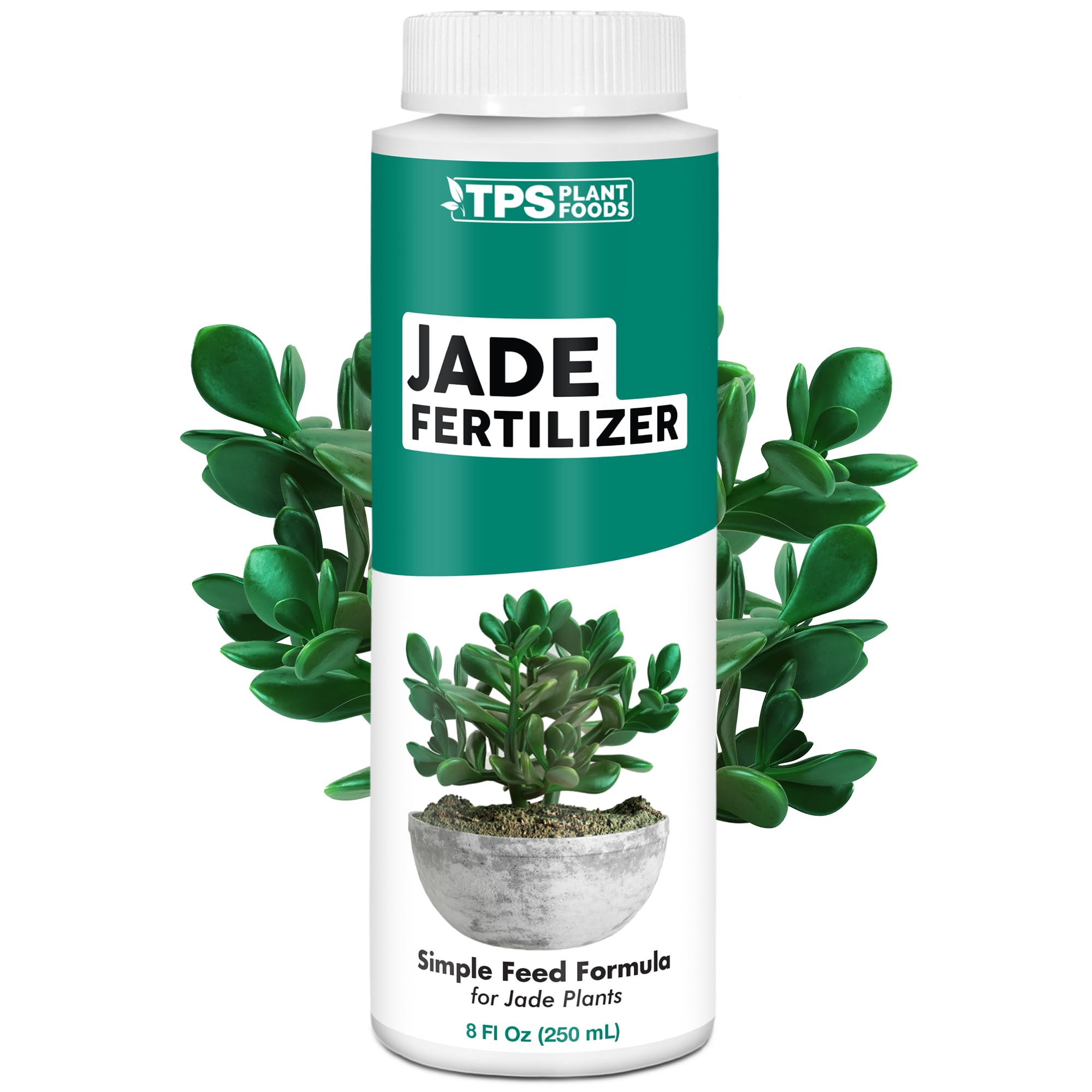 Amazon.com : Jade Fertilizer  Gentle Liquid Plant Food for Thick Leaves,  Healthy Growth & Vibrant Color, 8 oz : Patio, Lawn & Garden