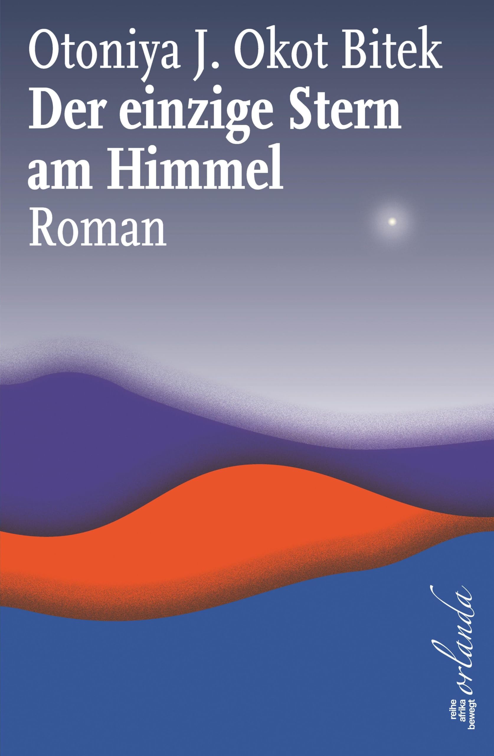 Der einzige Stern am Himmel: Roman