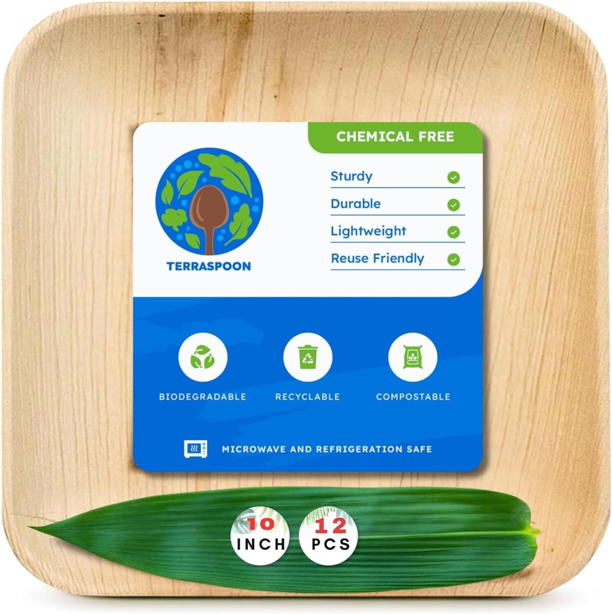 10 Inch Palm Leaf Square Dinner Plates (12 PACK), Strong, Bamboo Like, Compostable And Biodegradable Eco Friendly Plates - Pack Of 12