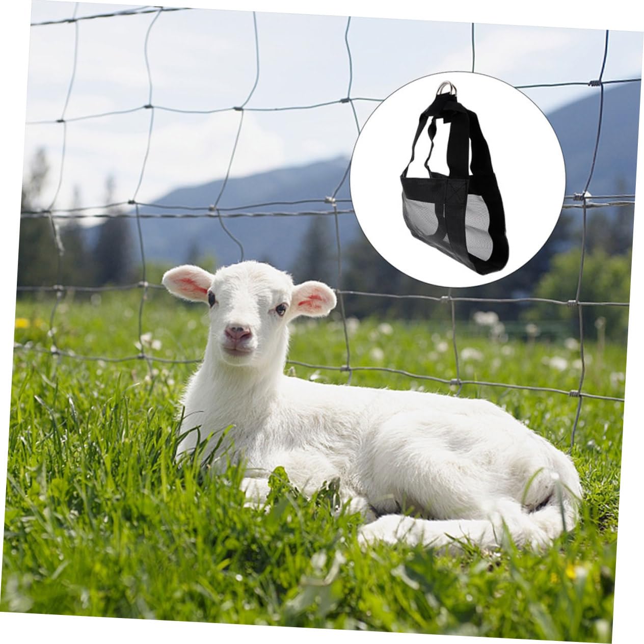 Mobestech 2Pcs Small Animals Weighing Sling Breathable Mesh Design for Convenient Weight Measurement of Livestock and Pets Easy to Use Reusable for Goats and Small Animals