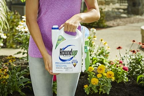 Miniatura 6 de Roundup Listo para usar Weed  Grass Killer III - Con una varita de tiro seguro use y alrededor de los jardines de verduras los anillos de los