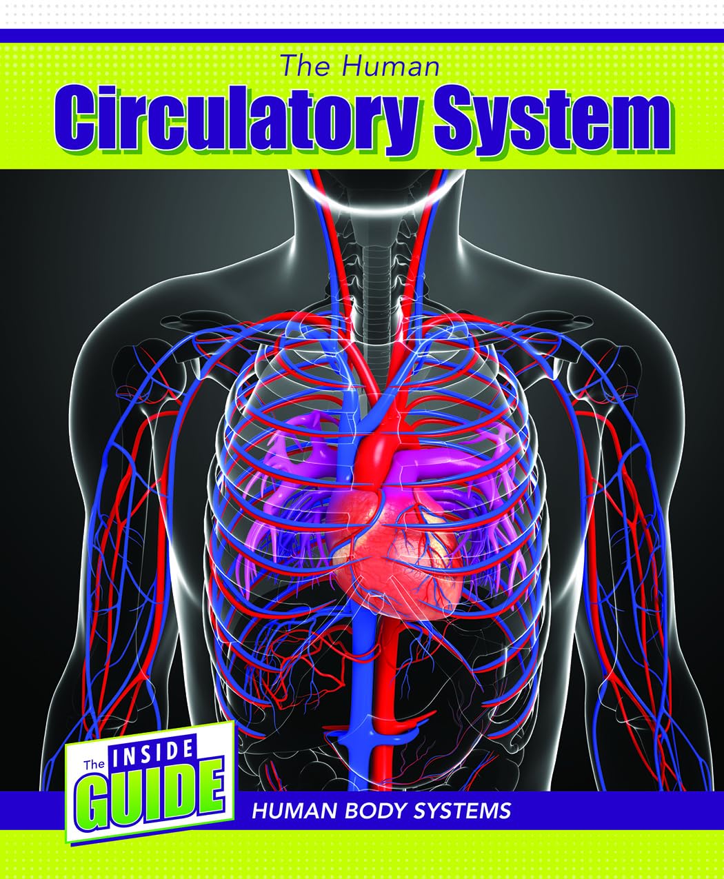 Buy The Human Circulatory System (Inside Guide: Human Body Systems) — BookShops.in